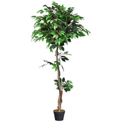 5.5 Foot Artificial Ficus Tree with Real Wood Trunks, 756 Leaf Silk Ficus
