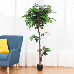 5.5 Foot Artificial Ficus Tree with Real Wood Trunks, 756 Leaf Silk Ficus