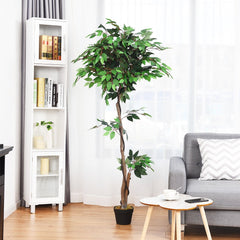 5.5 Foot Artificial Ficus Tree with Real Wood Trunks, 756 Leaf Silk Ficus