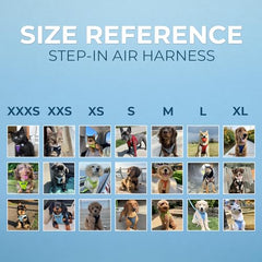 Best Pet Supplies Voyager Step-in Air Dog Harness-All Weather Mesh Step in Vest Harness for Small and Medium Dogs by Best Pet Supplies-Harness (Blue), XXX-Small