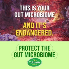 Culturelle Daily Digestive Health Daily Probiotic for Men and Women, With 100% Naturally Sourced Lactobacillus GG Strain, Pharmacist Recommended Gluten Free and Vegan, 50 Count Capsules (Pack of 1)