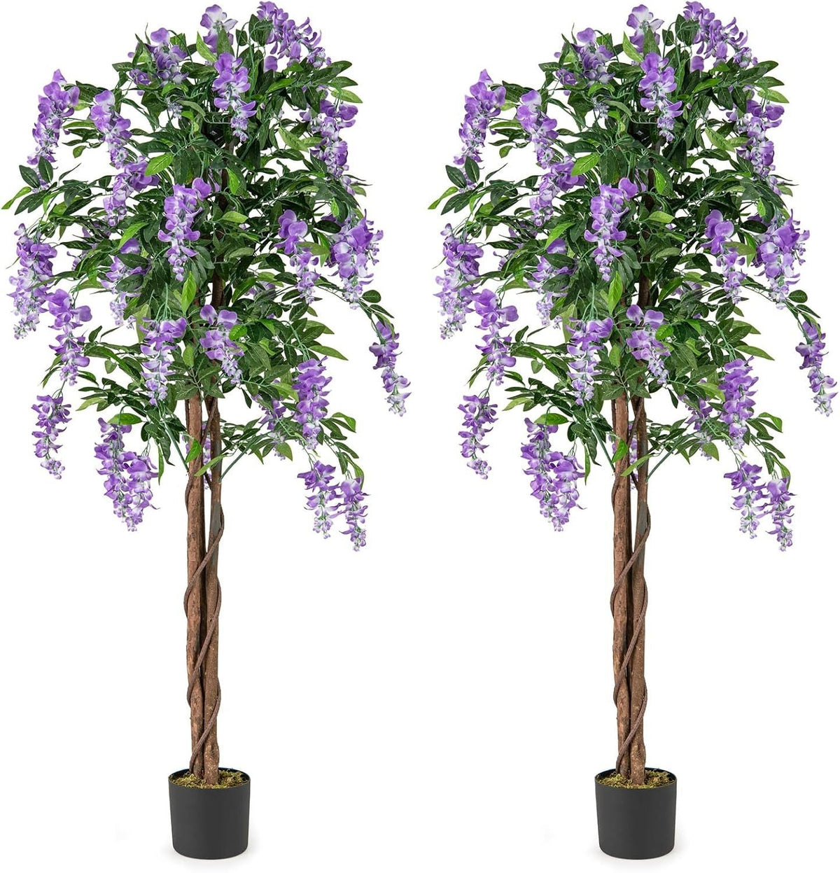 5.5 FT Faux Wisteria Plant in Nursery Pot with Blooming Flowers Set of 2-Purple