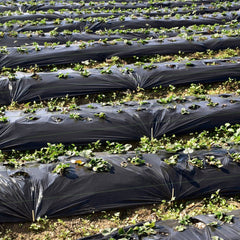 6.5 x 330/4 x 250/6 x 300 Feet Weed Barrier Landscape Fabric-6.5 ft
