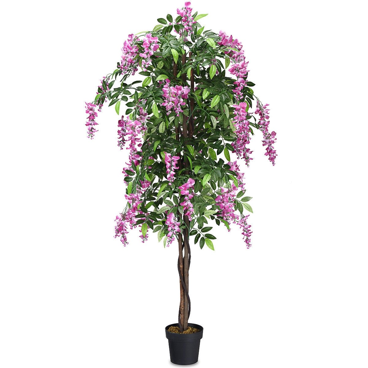 6 Foot Artificial Wisteria Tree with Flowers, 1260 Leaf Silk Tree in an 8 Inch Pot
