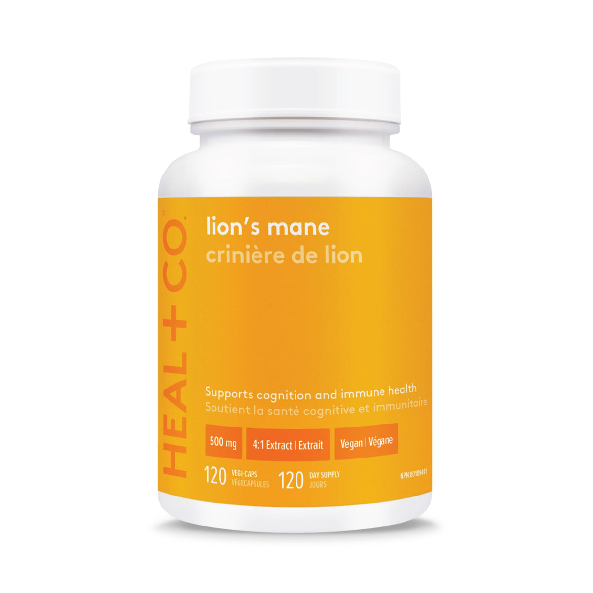 HEAL + CO. Lion's Mane Supplement | High Potency 4:1 extract, 2000 mg per serving | Focus + Immunity | 120 x 500 mg Capsules
