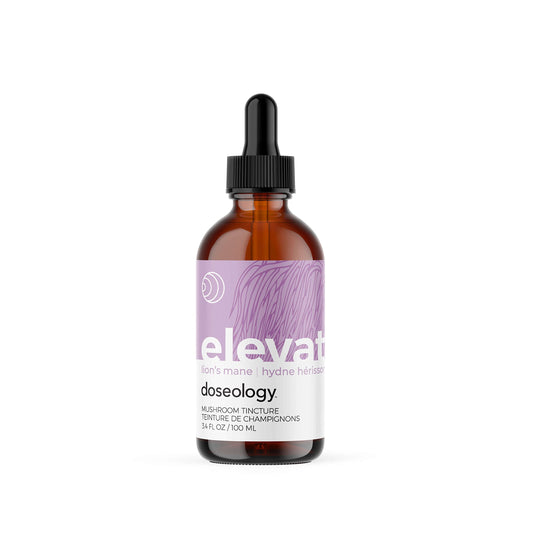 Doseology, Elevate, Lion’s Mane, Ginger & Vitamin B3 Extract, Daily Fruiting Body Mushroom Tincture, Supports Cognitive Health, Helps normal Growth and Development, 100 ml (one month supply)
