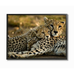 The Stupell Home Decor Collection aap-300_fr_16x20 Cheetah Family Mother with Cub Framed Wall Art, 16 x 20