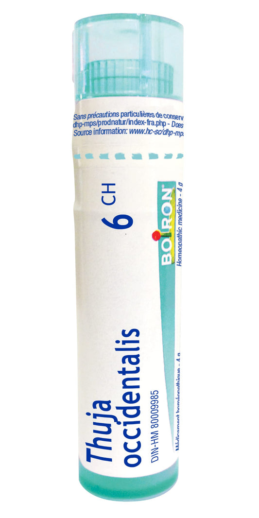 Boiron Thuja occidentalis 6ch,Homeopathic medicine. Each tube contains 4 g (approximately 80 pellets)
