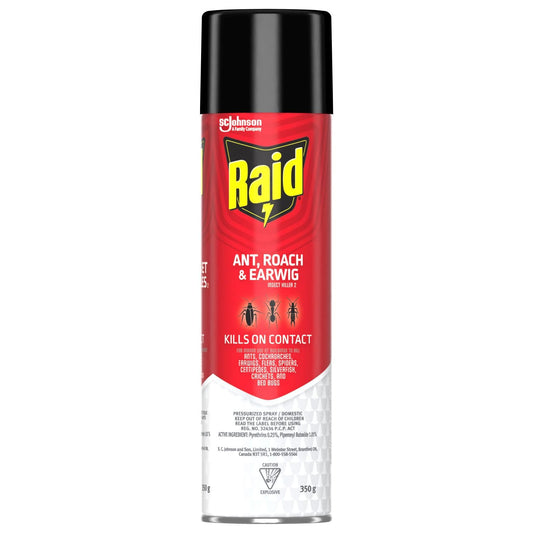 Raid Ant, Roach and Earwig Insect Killer Spray, Kills Listed Bugs on Contact, For Indoor Use, 350g