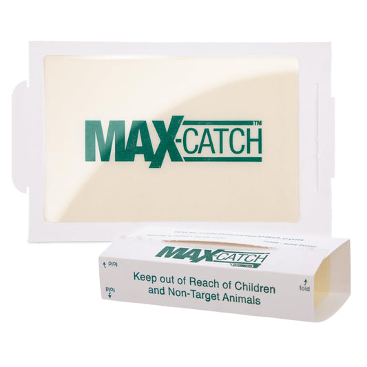 Catchmaster Max-Catch Mouse & Insect Glue Trap 36pk, Mouse Traps Indoor for Home, Sticky Pest Control Adhesive Tray for Catching Bugs, Rats & Rodents, Bulk Classic Glue Boards