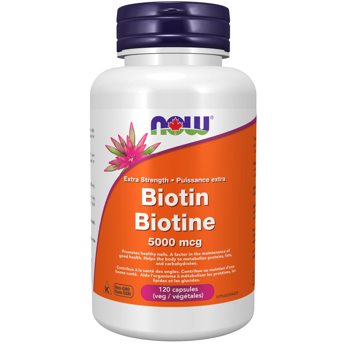 NOW Supplements, Biotin 5,000 mcg, Amino Acid Metabolism, Energy Production, 120 Veg Capsules