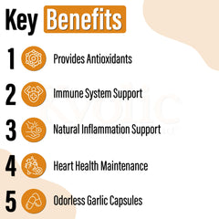 Kyolic - Formula 103 Immuni-Shield 90 Capsules - Vitamin C Ascorbic Acid, Astragalus Root Extract, Oregano Extract, Mushroom Blend Supplement & Kyolic Aged Garlic Extract Capsule-Immune System Support