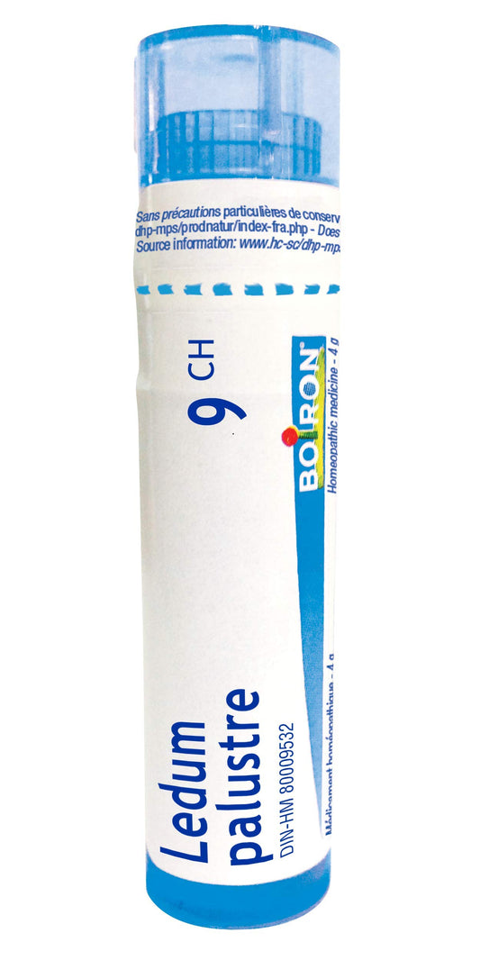 Boiron Ledum palustre 9ch,Homeopathic medicine. Each tube contains 4 g (approximately 80 pellets)