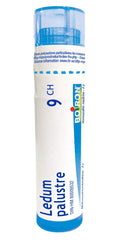 Boiron Ledum palustre 9ch,Homeopathic medicine. Each tube contains 4 g (approximately 80 pellets)