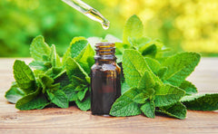 Peppermint Essential Oil 4 oz