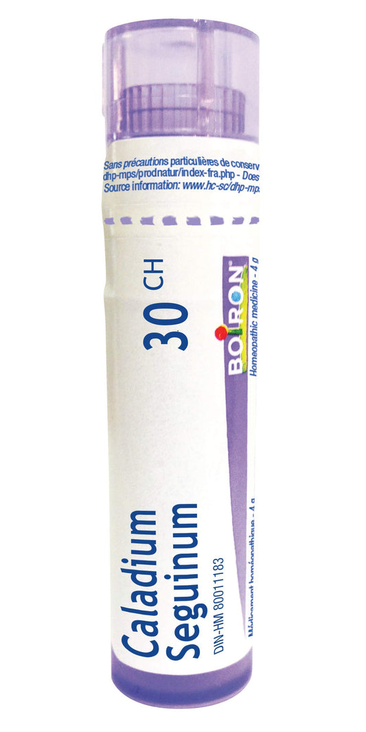 Boiron Caladium seguinum 30ch,Homeopathic medicine. Each tube contains 4 g (approximately 80 pellets)