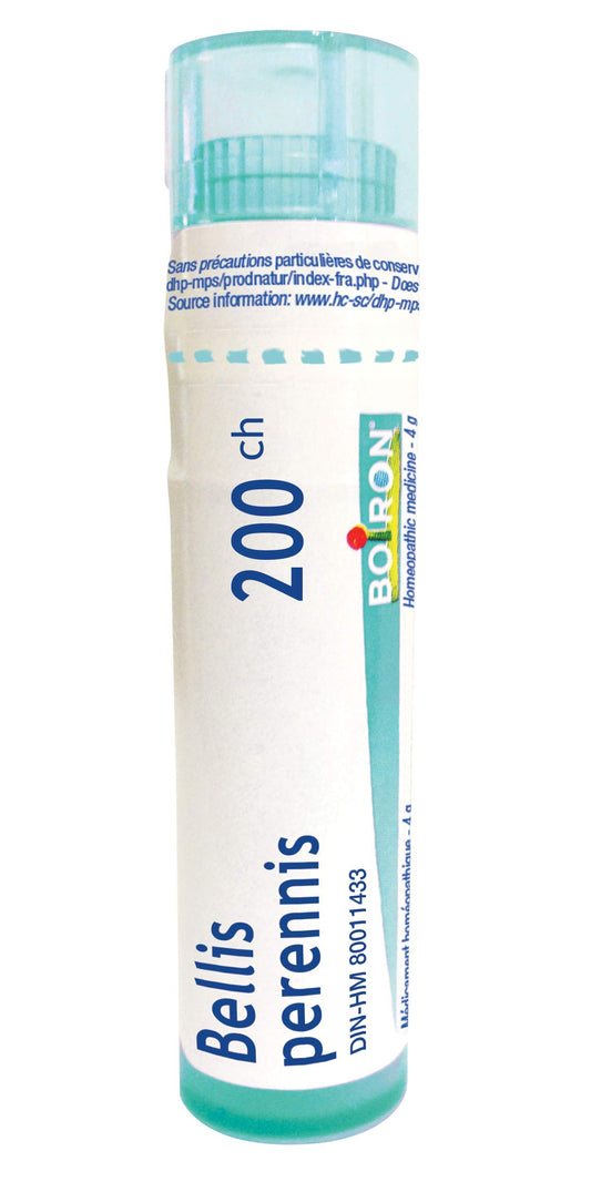 Bellis perennis 200ch,Boiron homeopathic medicine, 4g