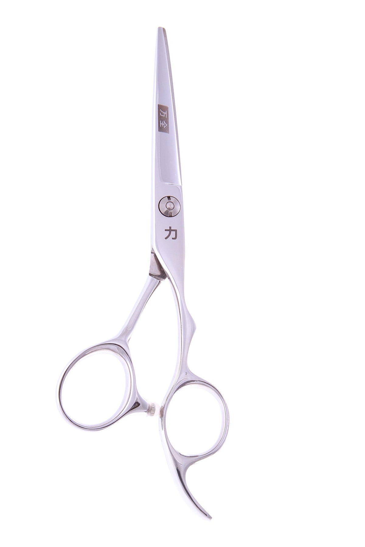 ShearsDirect Japanese Stainless Professional Cutting Shear, 5.5 Inch, 2.5 Ounce