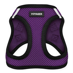 Best Pet Supplies - All Weather Mesh, Reflective, No Pull Harness for Small, Medium Dogs, Cats - Secure with Hook & Loop Fastener, Buckle, Double D-Rings - Purple/Black Trim, XXS