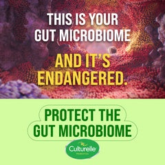 Culturelle Daily Digestive Health Daily Probiotic for Men and Women | With 100% Naturally Sourced Lactobacillus GG Strain †††††† | Pharmacist Recommended ††††† | Gluten Free and Vegan | 30 Count Capsules