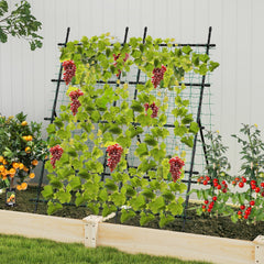 74 Inch Tall Garden Trellis for Flower Vine Vegetable Fruit Pea-Black