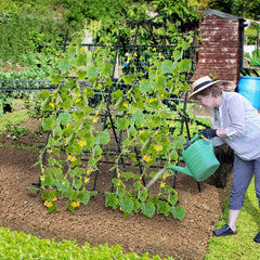 74 Inch Tall Garden Trellis for Flower Vine Vegetable Fruit Pea-Black