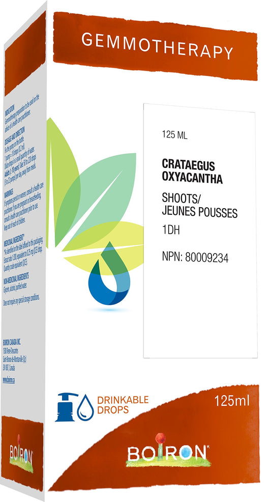 Boiron Gemmotherapy Crataegus oxyacantha shoots (hawthorn) 1dh, homeopathic medicine. Format: 125 mL
