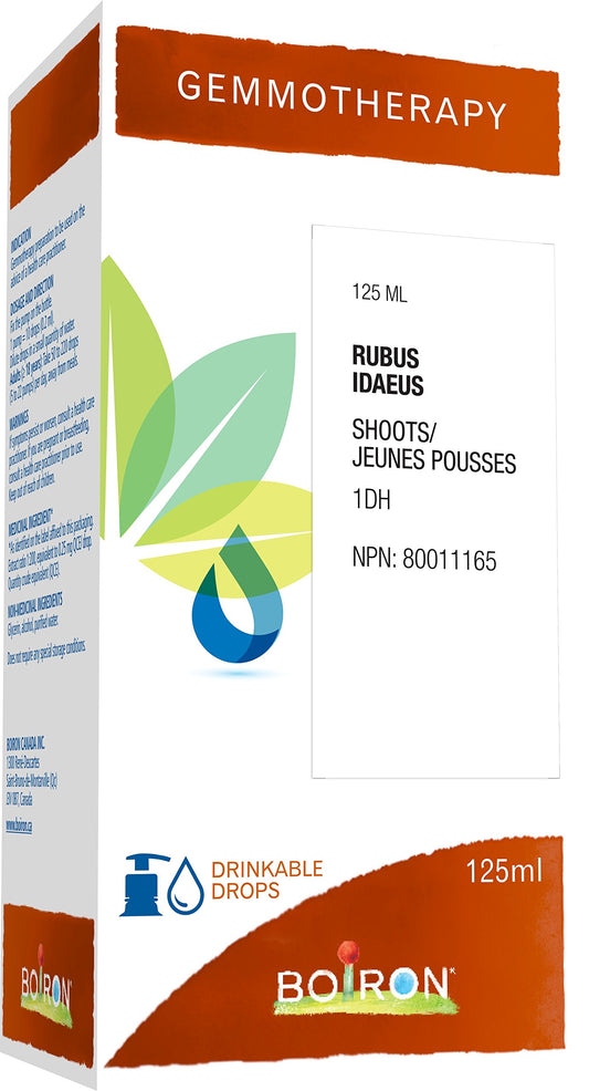 Boiron Gemmotherapy Rubus idaeus shoots (raspberry) 1dh, homeopathic medicine. Format: 125 mL