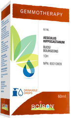 Boiron Gemmotherapy Aesculus hippocastanum buds (horse chestnut) 1dh, homeopathic medicine. Format: 60ml