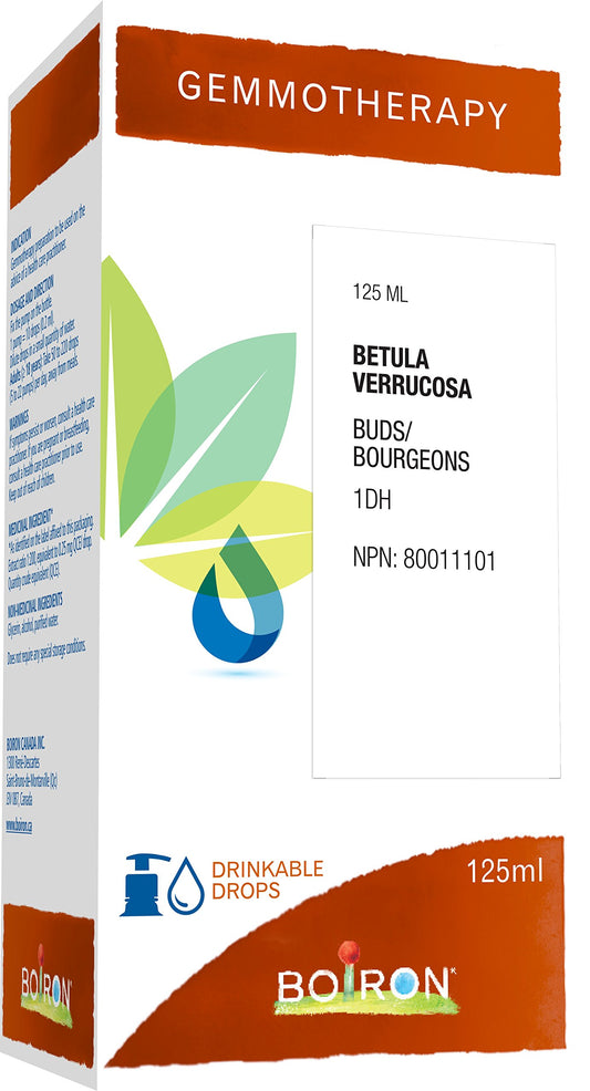 Boiron Gemmotherapy Betula verrucosa buds (silver birch) 1dh, homeopathic medicine. Format: 125 mL