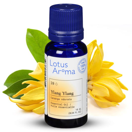 Lotus Aroma Premium Grade Ylang Ylang Essential Oil, 100% Pure & Undiluted, Relaxing Scent, Natural Essential Oil For Humidifier, Aromatherapy Oil, Fragrance Oil - Huile Essentielle 0.3oz (10ml)