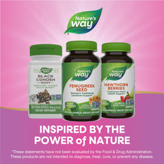 Nature's Way Fenugreek Seed – Breastfeeding Supplement – Lactation Support to Help Mothers Increase Breast Milk Production, Non-GMO - 180 Vegetarian Capsules, Value Size