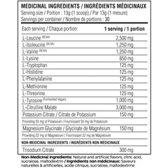 Believe Supplements Performance EAA - Essential Amino Acids Formula | Boost Muscle Recovery, Performance & Hydration | Sugar-Free & Delicious Flavors Available! (30 servings, Dragonfruit)