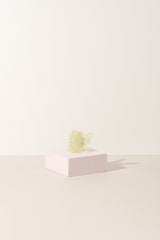 Sale - The Butterfly Collection