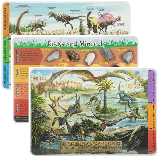 Painless Learning Educational Placemats Sets Dinosaurs, Rocks and Minerals, Pterosaurs Placemat Non Slip Washable