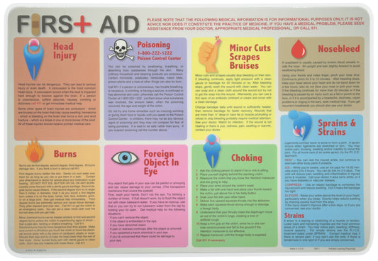 PAINLESS LEARNING PLACEMATS-First Aid-Placemat