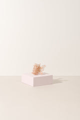 Sale - The Butterfly Collection
