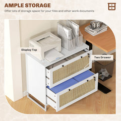 2-Drawer Filing Cabinet with Lock, Rattan File Cabinet with Adjustable Hanging Bar, Natural