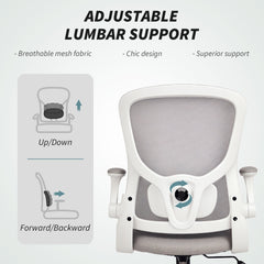 Ergonomic Mesh Office Chair with 4D Lumbar Support, Swivel Desk Chair with Flip-up Armrests, Tilt Function, Black