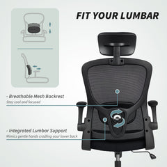 Ergonomic Office Chair, Mesh Desk Chair with Adjustable Headrest, Lumbar Support and Height, Flip-Up Armrests, Black