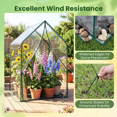 Mini Green House Metal Frame with Waterproof Bottom Mat and Wind Ropes-L