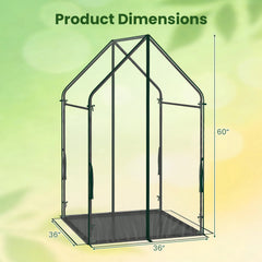 Mini Green House Metal Frame with Waterproof Bottom Mat and Wind Ropes-L