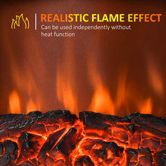 Electric Fireplace Heater, Freestanding Fireplace Stove with Realistic Flame Effect, Overheat Safety Protection, 750W/1500W, Black