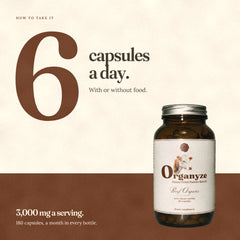 Organyze (Beef Organs) Bundle of 3