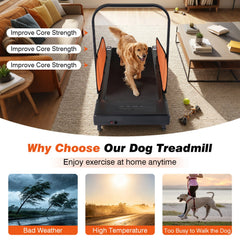 Pet Treadmill for Small & Medium Dogs with LED Display and Adjustable Speed-Black