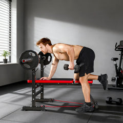 Adjustable Weight Bench with Squat Rack, Incline Flat Bench Press with Barbell Rack for Home Gym, 660 lbs Capacity