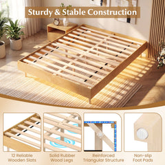 Twin/Full/Queen Size Floating Bed Frame with LED Lights for Bedroom-Queen