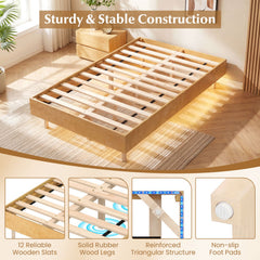 Twin/Full/Queen Size Floating Bed Frame with LED Lights for Bedroom-Twin