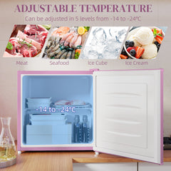 1.1 Cu. Ft. Mini Freezer, Compact Upright Freezer with Reversible Door, Removable Shelf, Adjustable Temperature, Black
