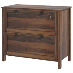 2 Drawer File Cabinet, Lockable Filing Cabinet with Adjustable Hanging Bar for Letter, A4 and Legal Size, Black